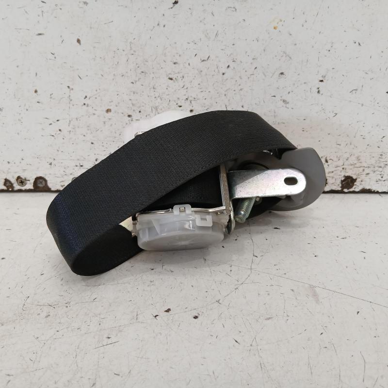 seat belt stalk
