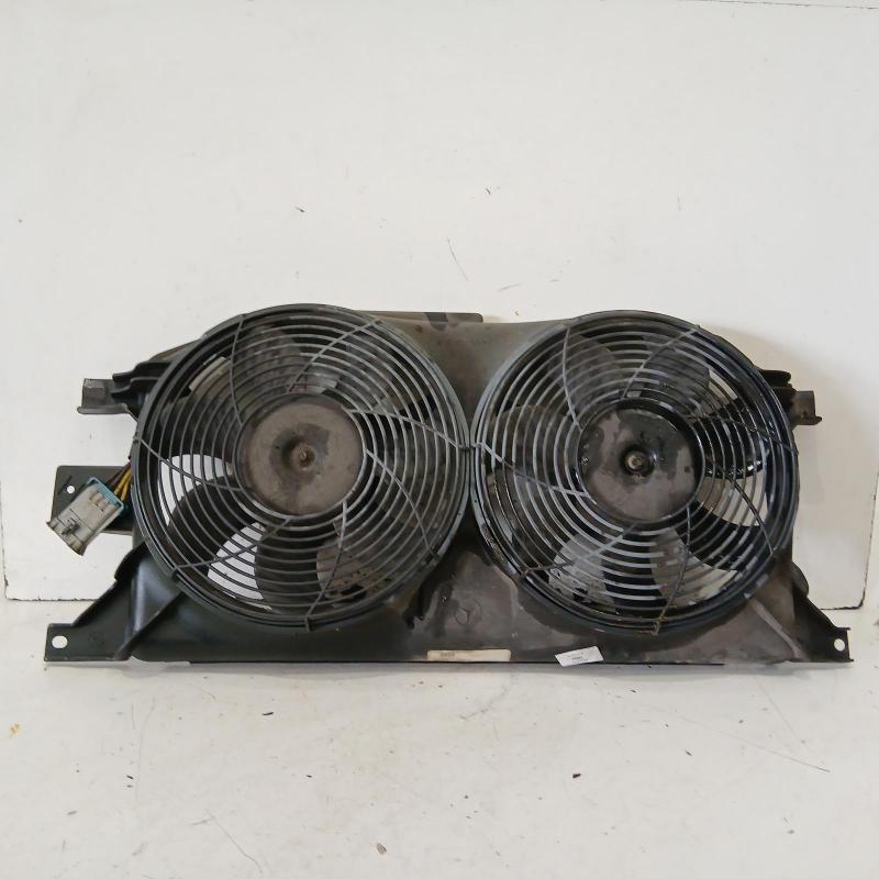 fan