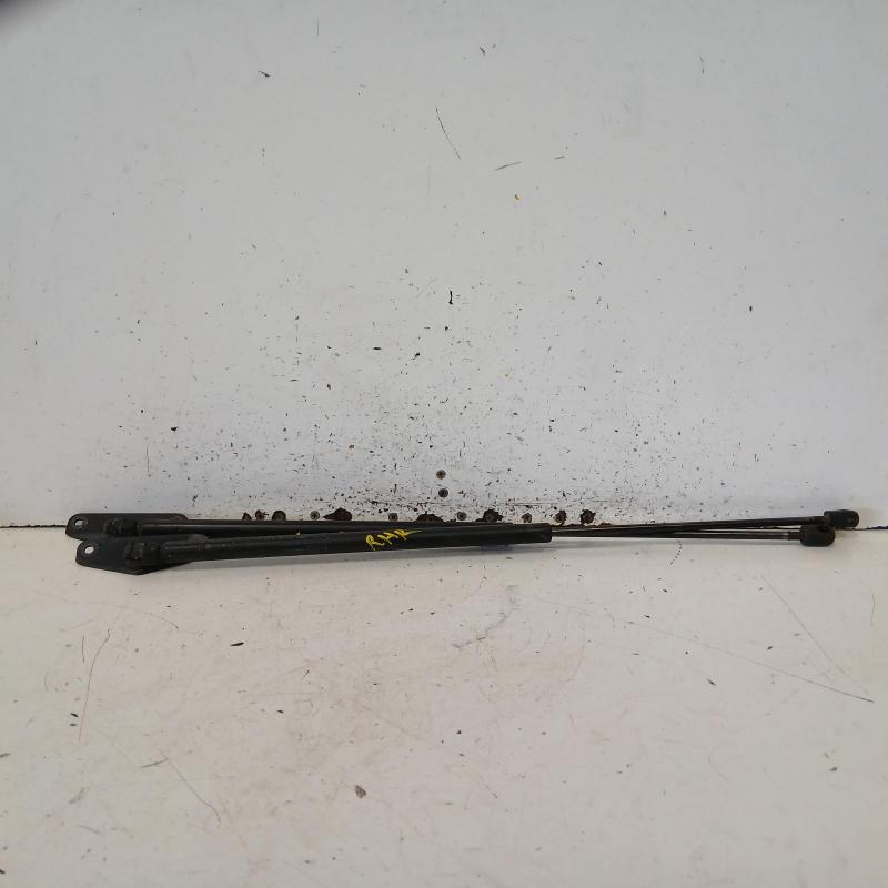 hatch strut