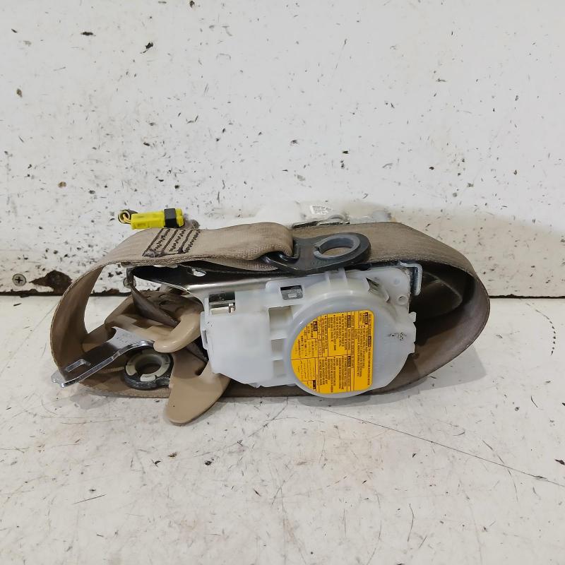 seat belt stalk