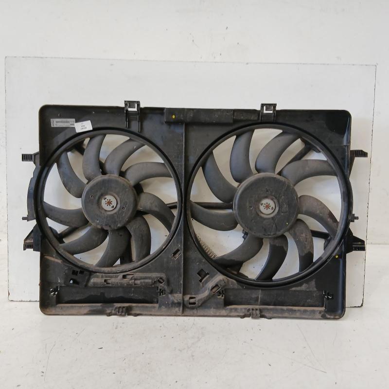 fan