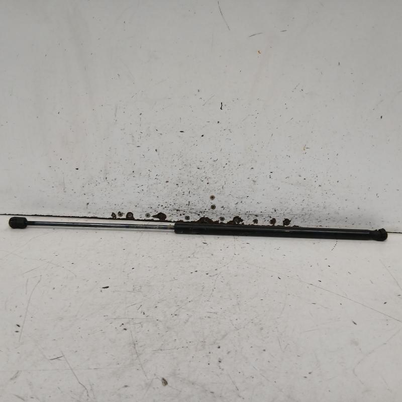 bonnet hinge/strut