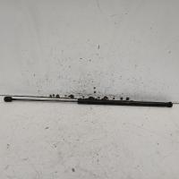 bonnet hinge/strut