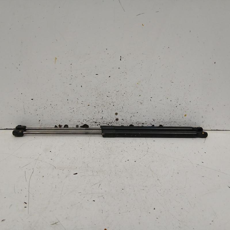 hatch strut