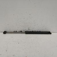 hatch strut