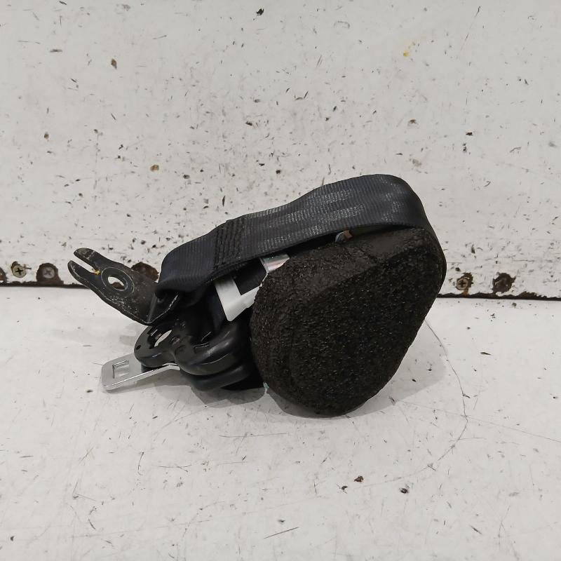 seat belt stalk