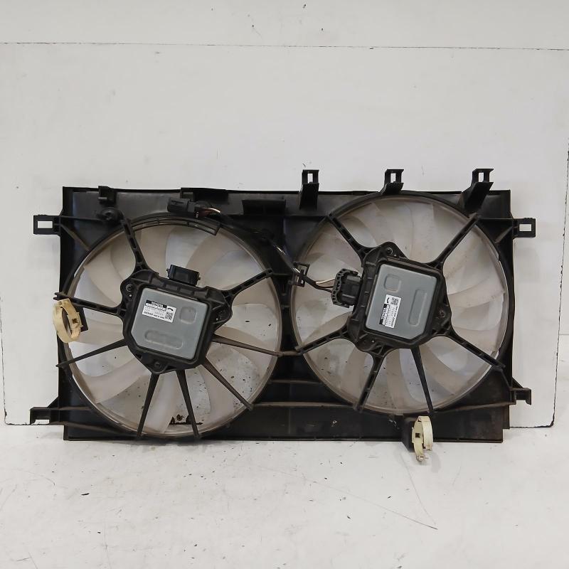 fan