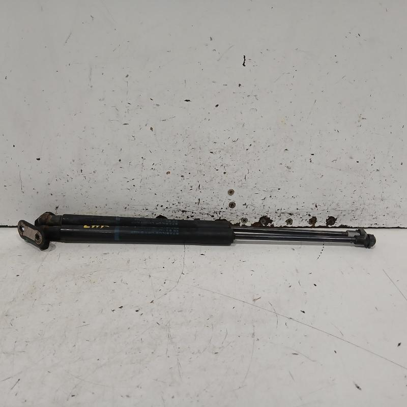 hatch strut