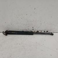 hatch strut