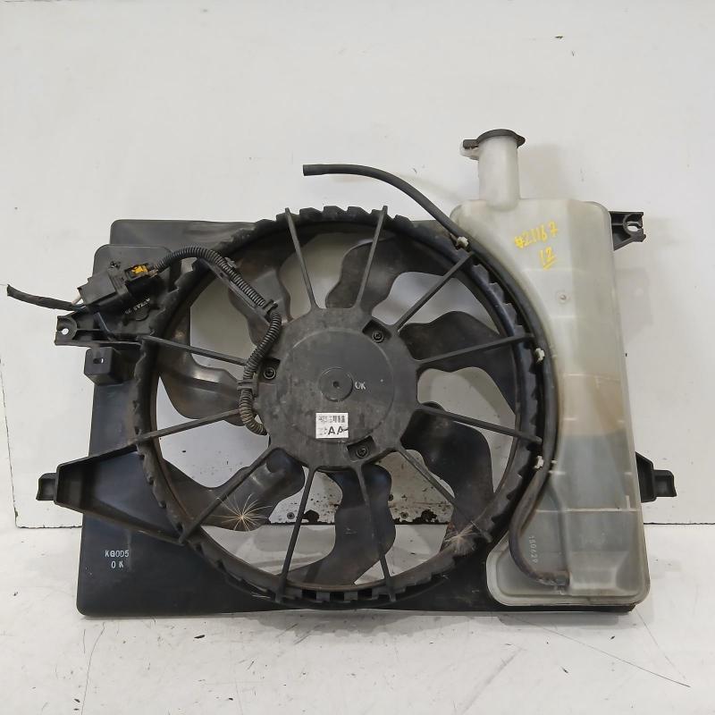 fan