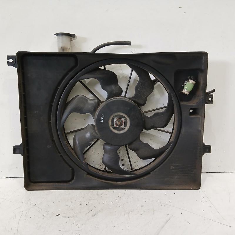 fan