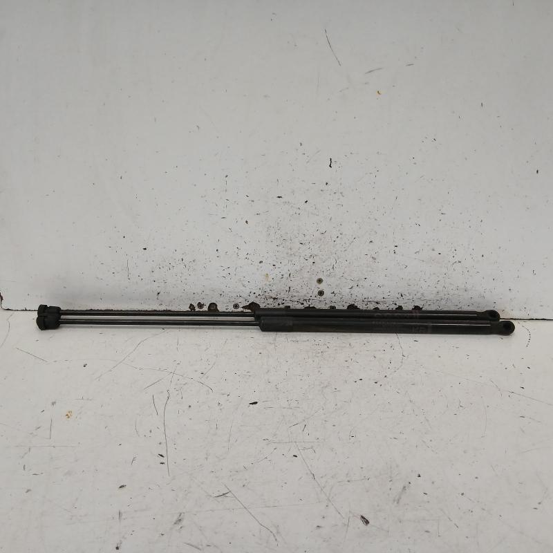 bonnet hinge/strut