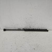 bonnet hinge/strut