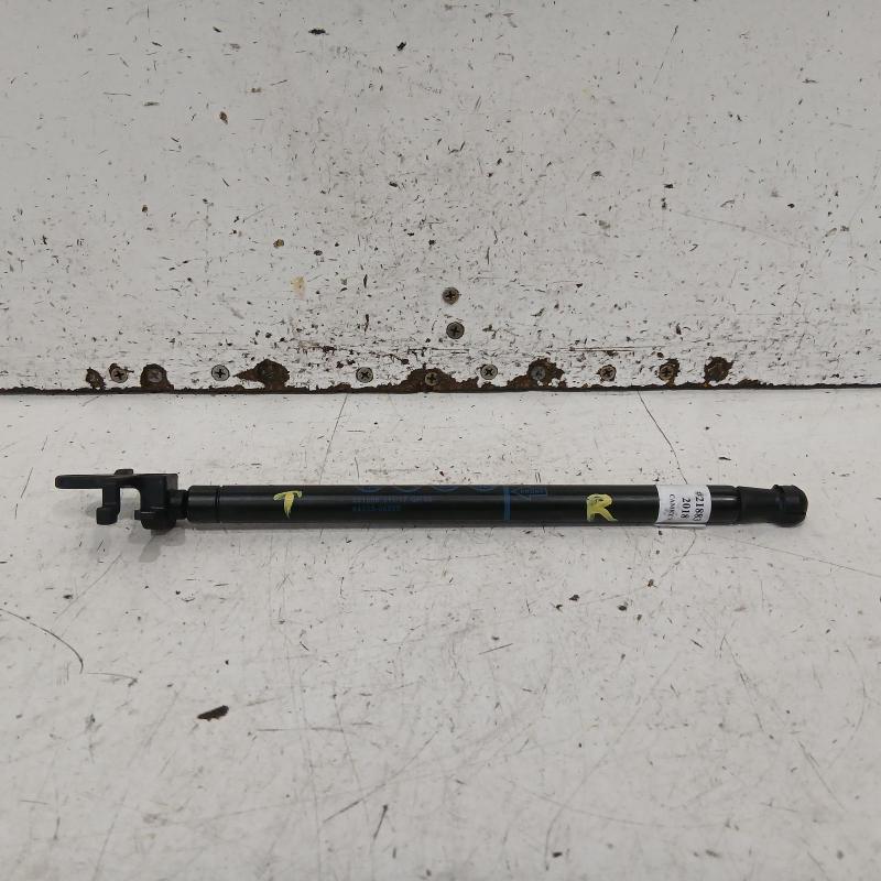 hatch strut