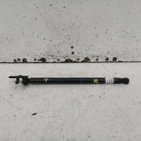 hatch strut