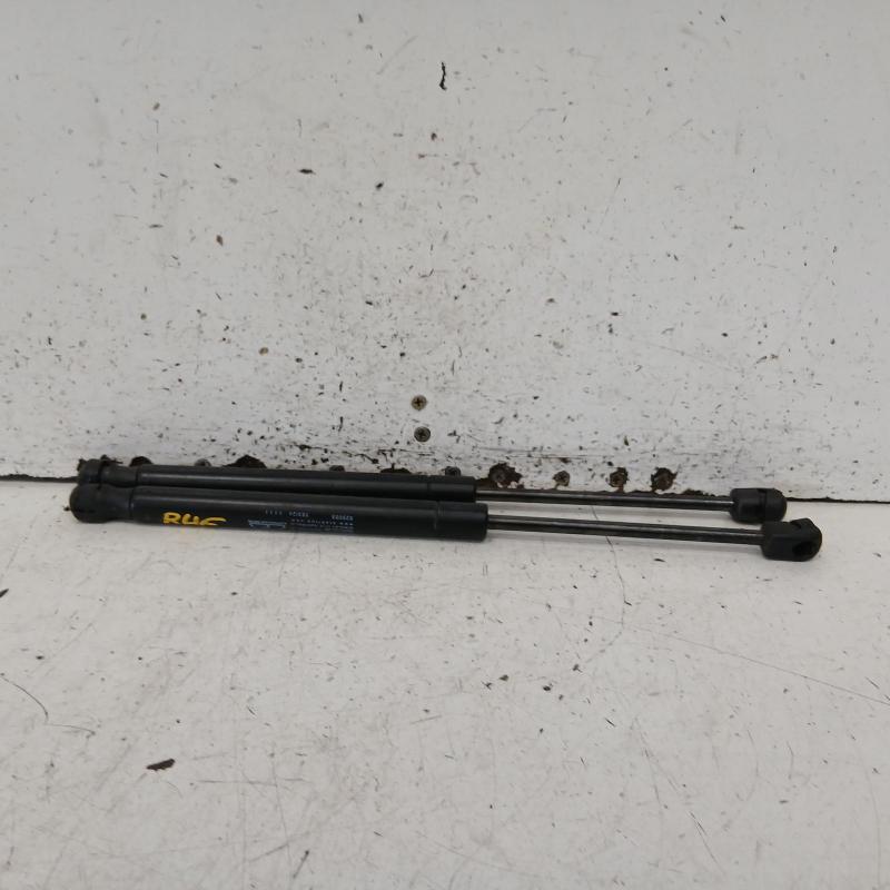 bonnet hinge/strut