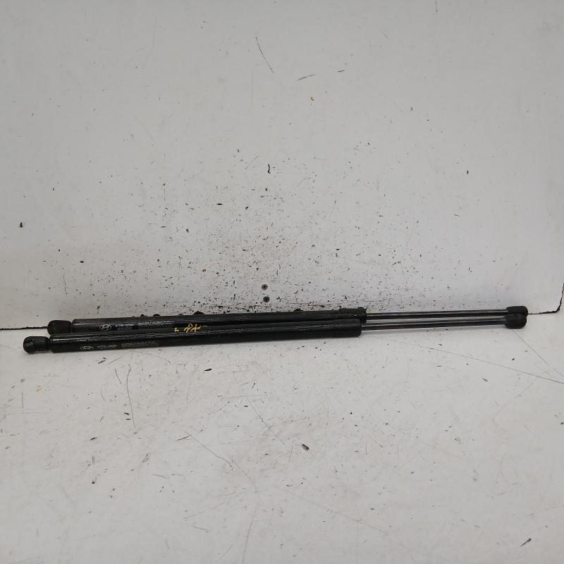 hatch strut