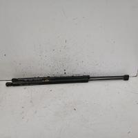 hatch strut