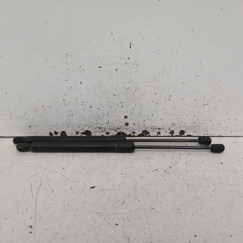 hatch strut