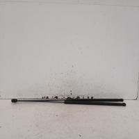 bonnet hinge/strut