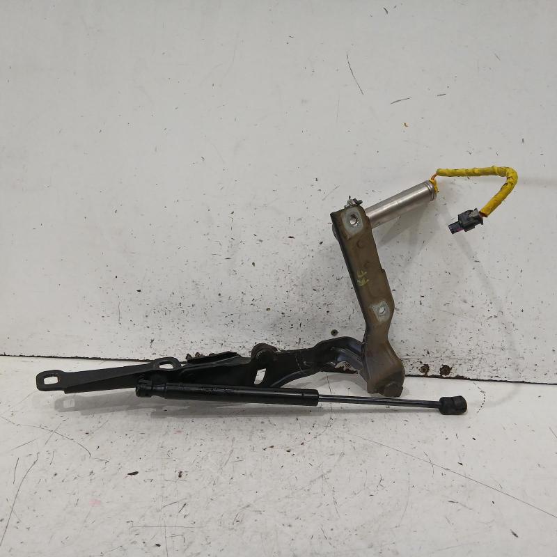 bonnet hinge/strut
