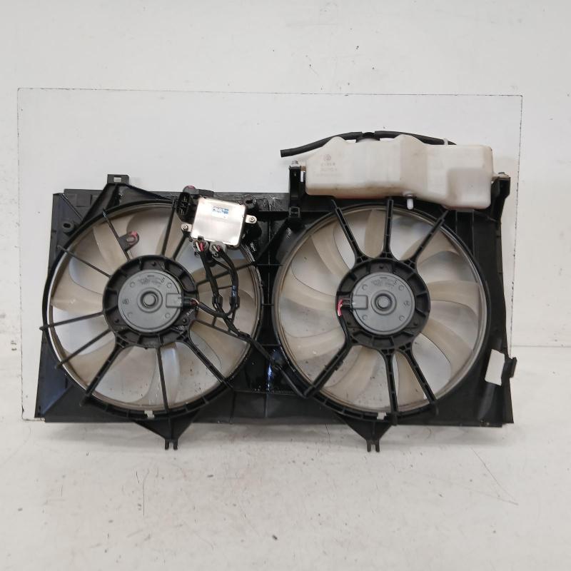 fan