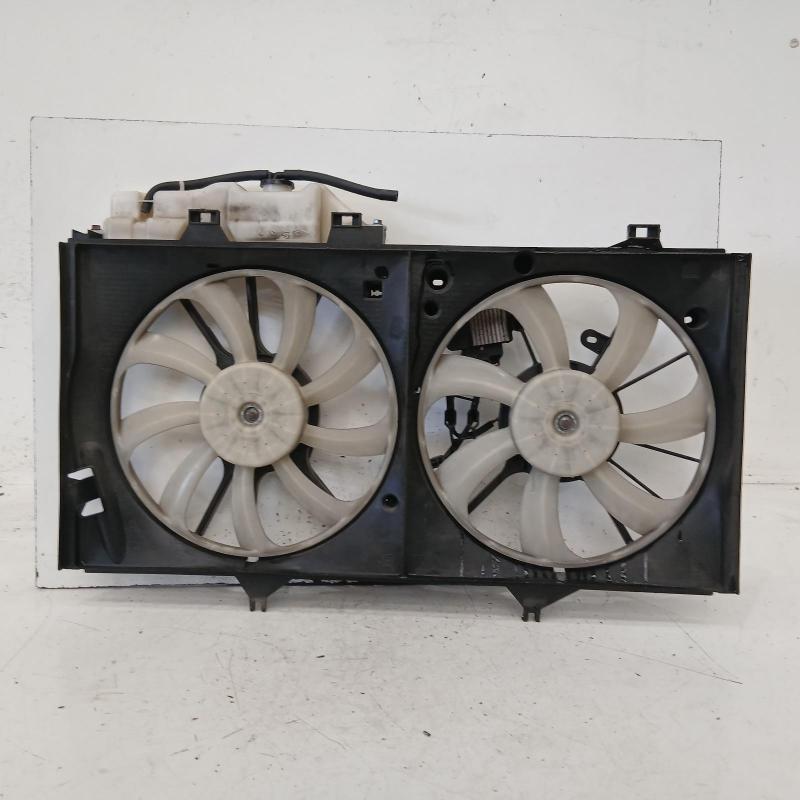 fan