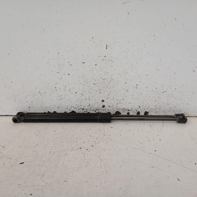 hatch strut