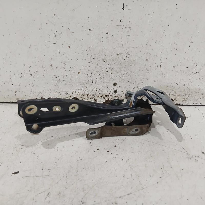 bonnet hinge/strut