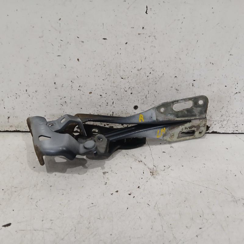 bonnet hinge/strut