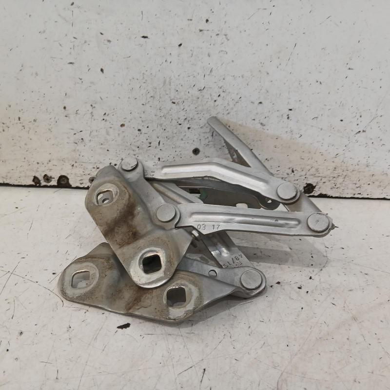bonnet hinge/strut