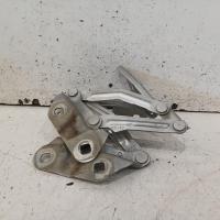 bonnet hinge/strut
