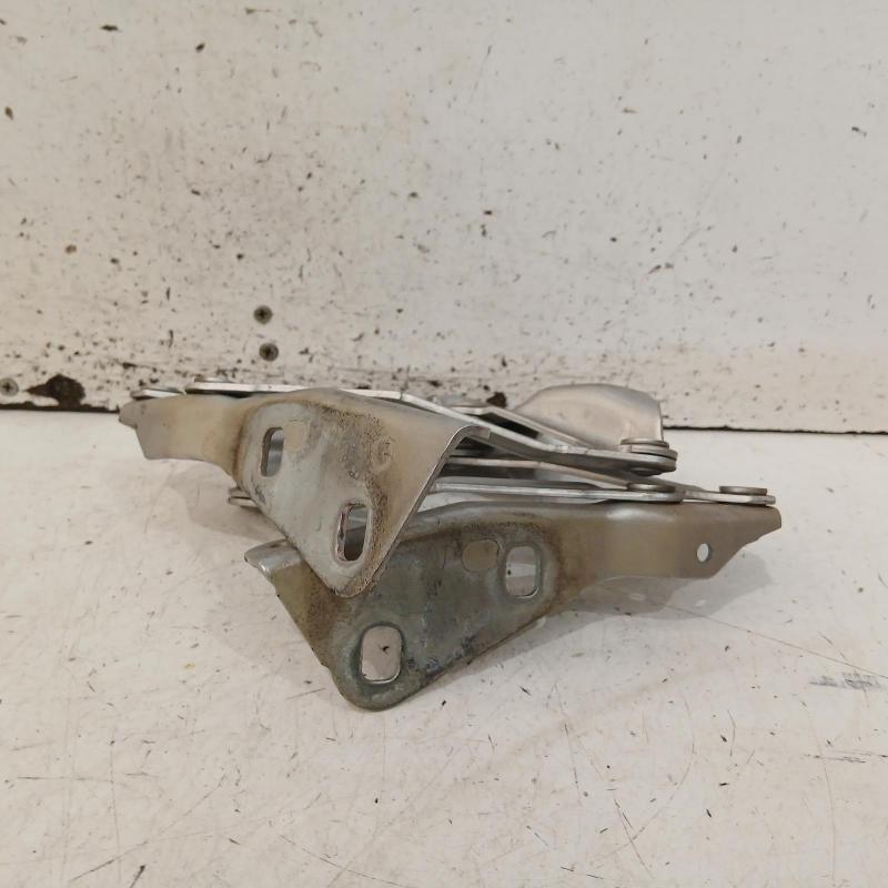 bonnet hinge/strut