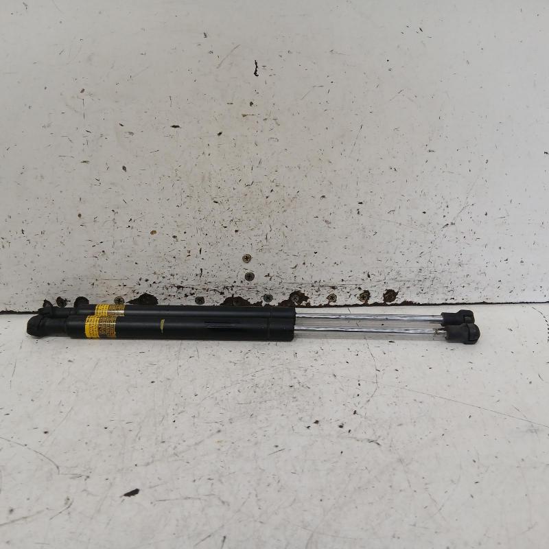 hatch strut