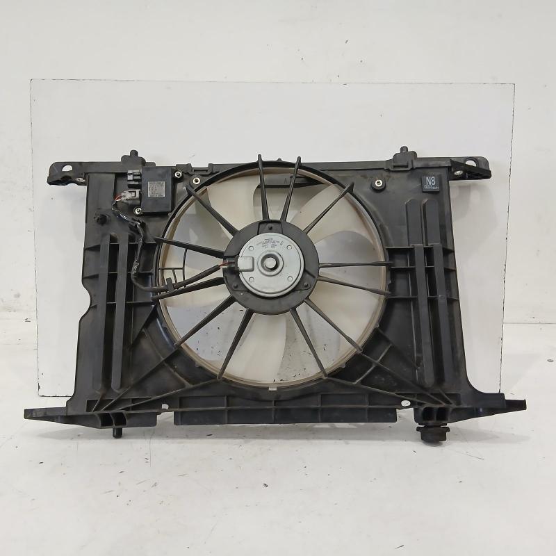 fan