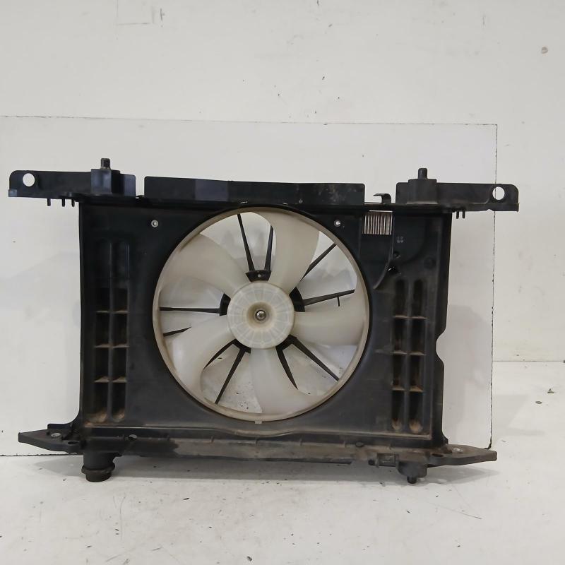 fan