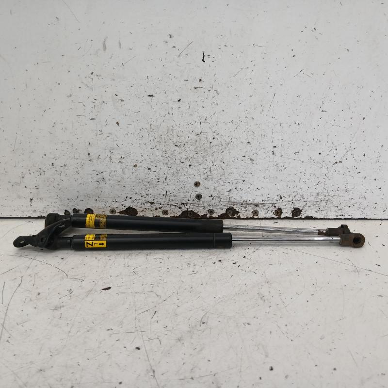hatch strut