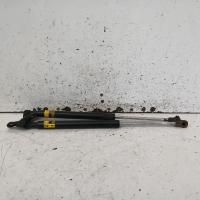 hatch strut