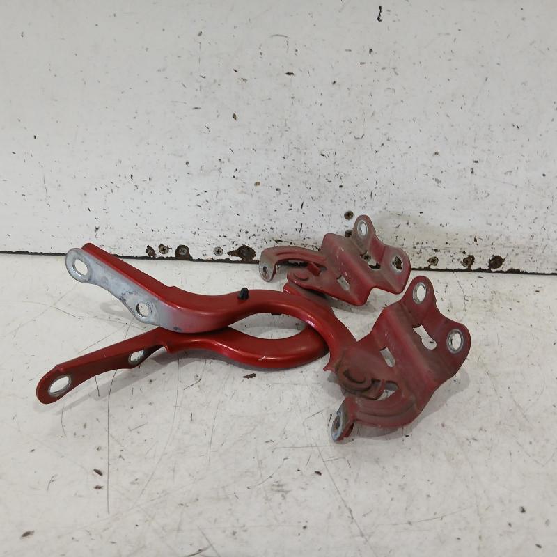 bonnet hinge/strut