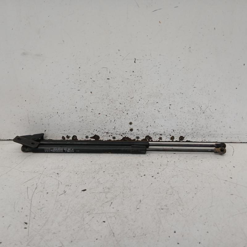 hatch strut