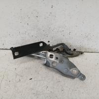 bonnet hinge/strut