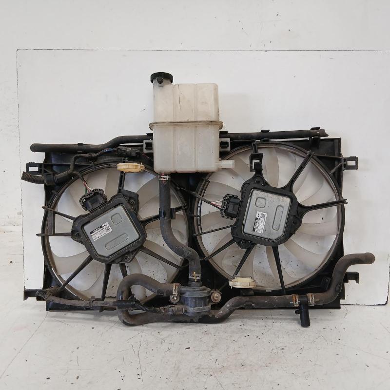 fan