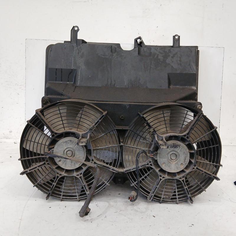 fan