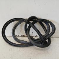 body seal ruber