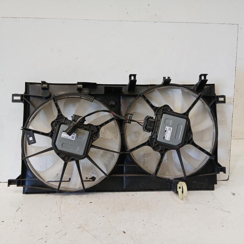 fan