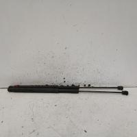 bonnet hinge/strut