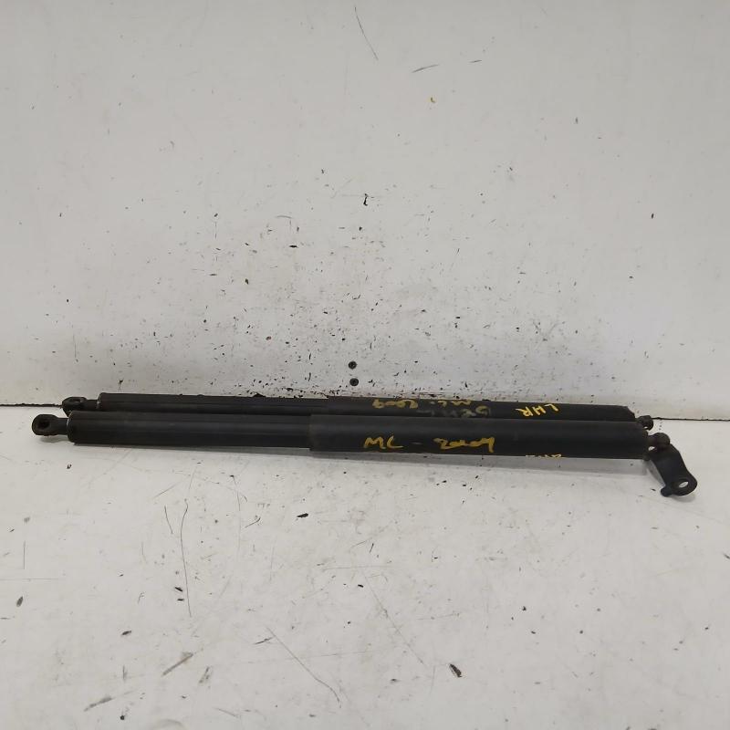 hatch strut