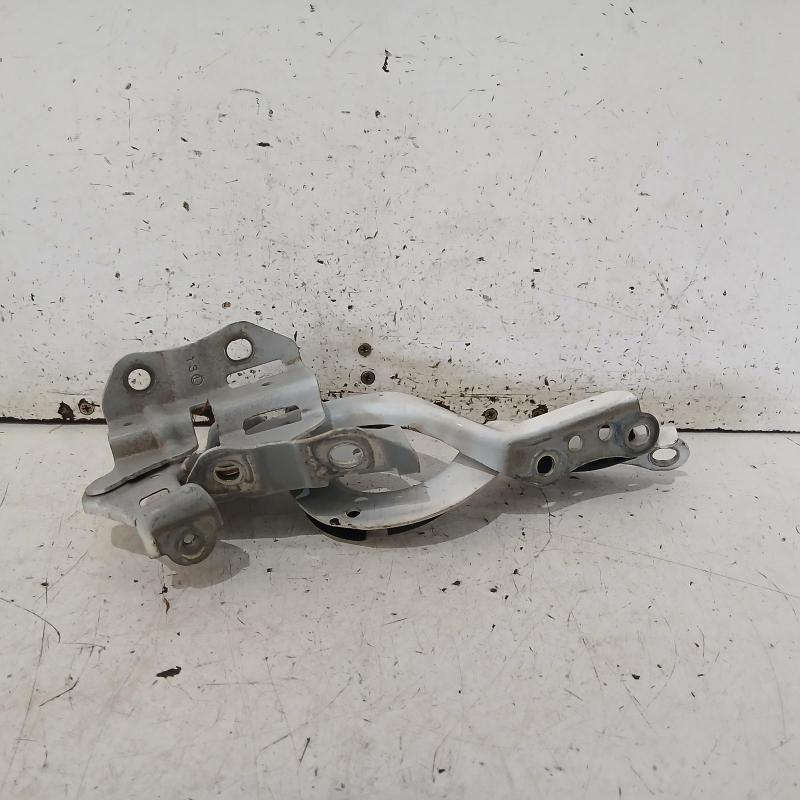 bonnet hinge/strut