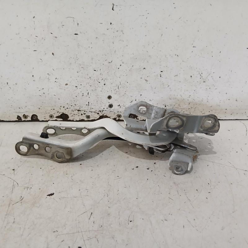 bonnet hinge/strut