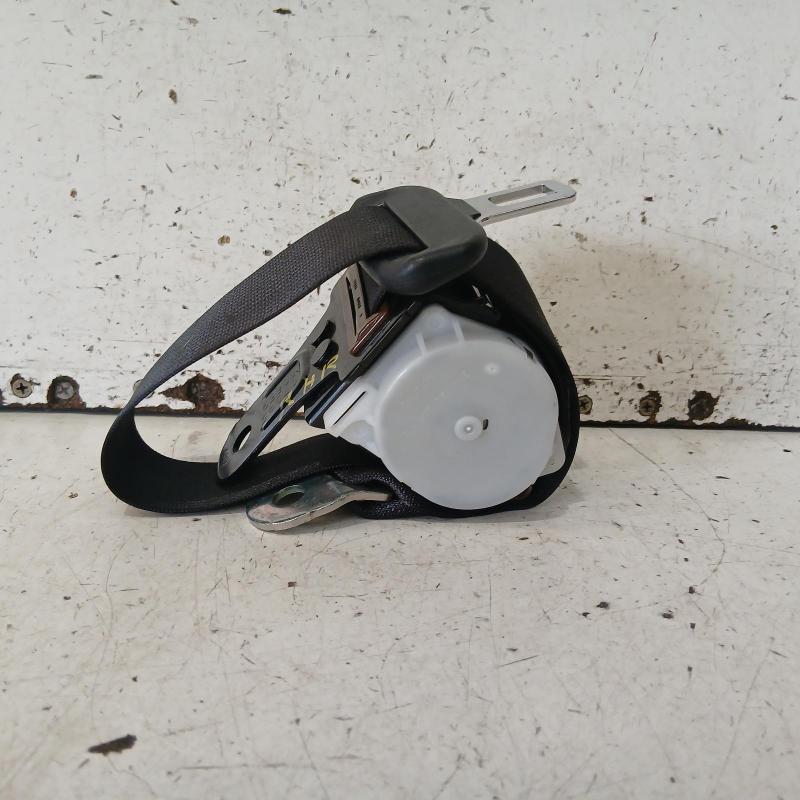 seat belt stalk
